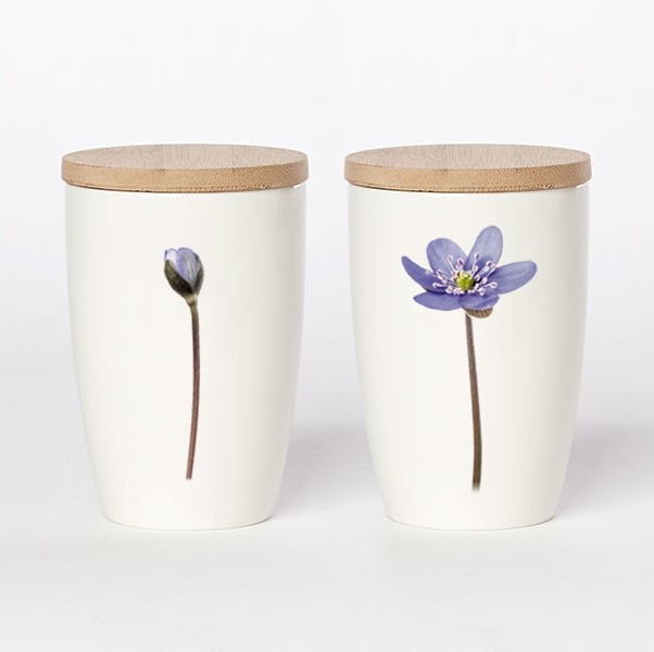 großer Becher blaue Anemone, Simply Flowers No. 10 großer Becher blaue Anemone, Simply Flowers No. 10