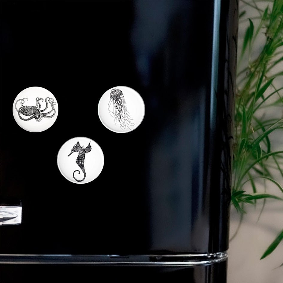 Magnet 3er-Set – Meerestiere Magnet 3er-Set – Meerestiere