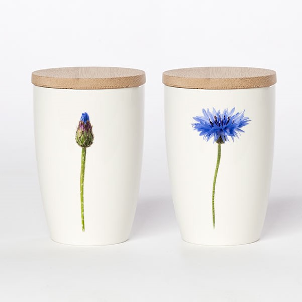 großer Becher Kornblume, Simply Flowers No. 15 großer Becher Kornblume, Simply Flowers No. 15