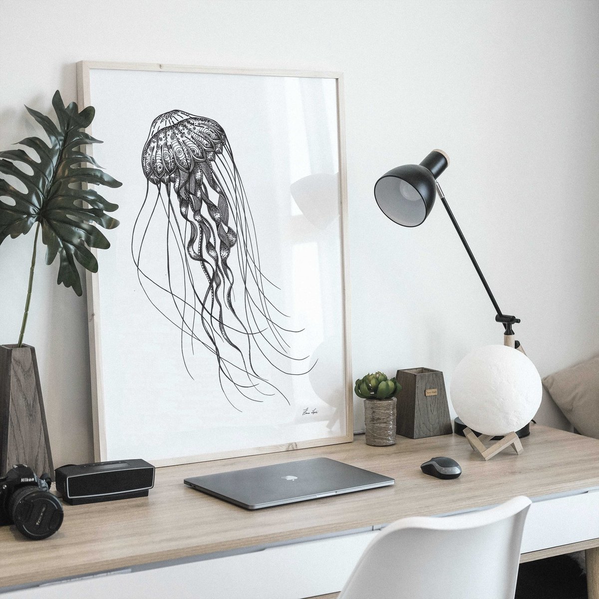 Kunstdruck - Tiefseequalle Size: A4 Kunstdruck - Tiefseequalle Size: A4