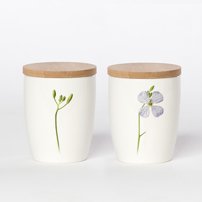 kleiner Becher Ölrettich, Simply Flowers No.18 kleiner Becher Ölrettich, Simply Flowers No.18