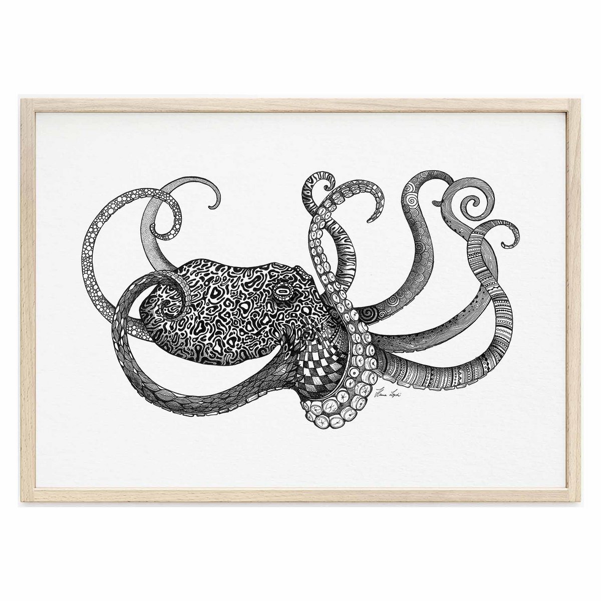 Kunstdruck - Oktopus Size: A4