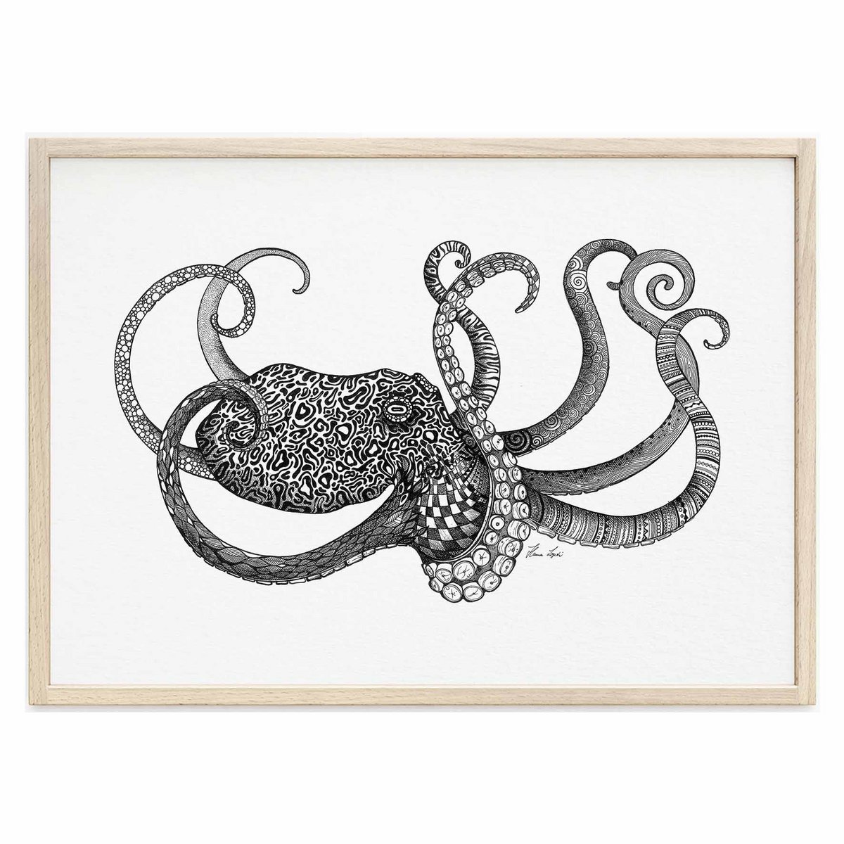 Kunstdruck - Oktopus Size: A4 Kunstdruck - Oktopus Size: A4