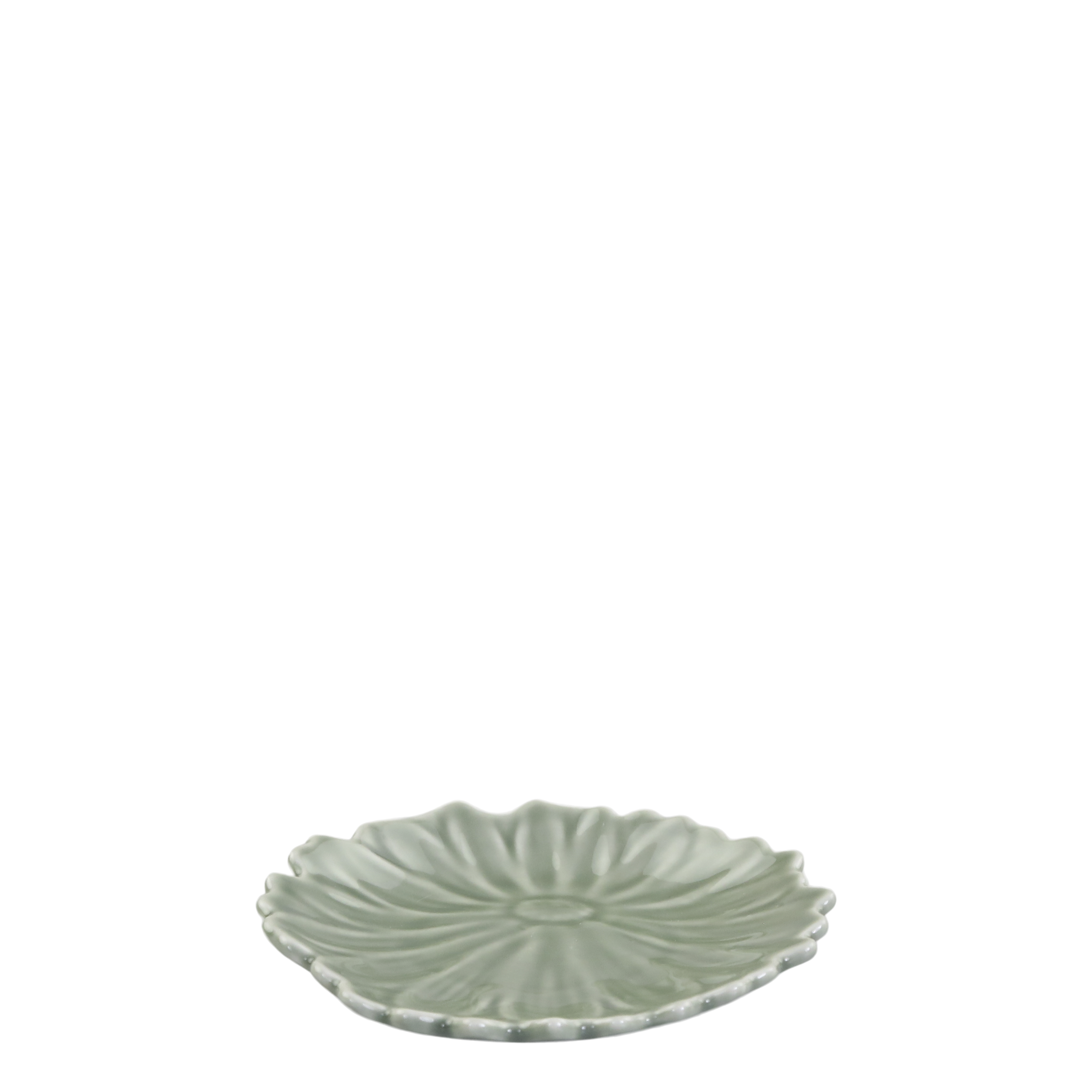 Tellerchen Seerose Verte