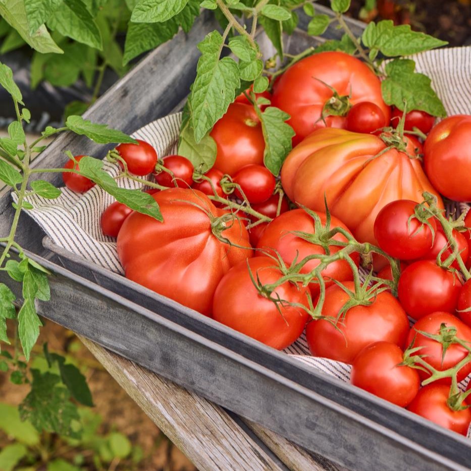 2 Tabletts. länglich, Metall