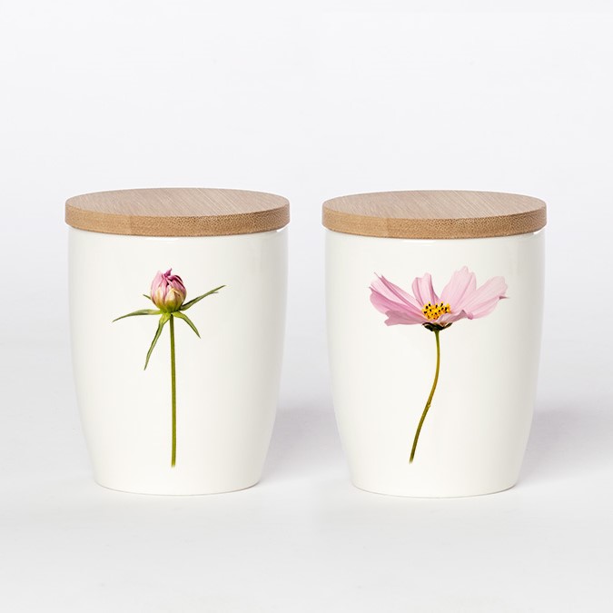 kleiner Becher Cosmea, Simply Flowers No.03 kleiner Becher Cosmea, Simply Flowers No.03