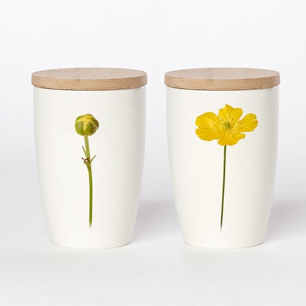 großer Becher Butterblume, Simply Flowers No. 05 großer Becher Butterblume, Simply Flowers No. 05