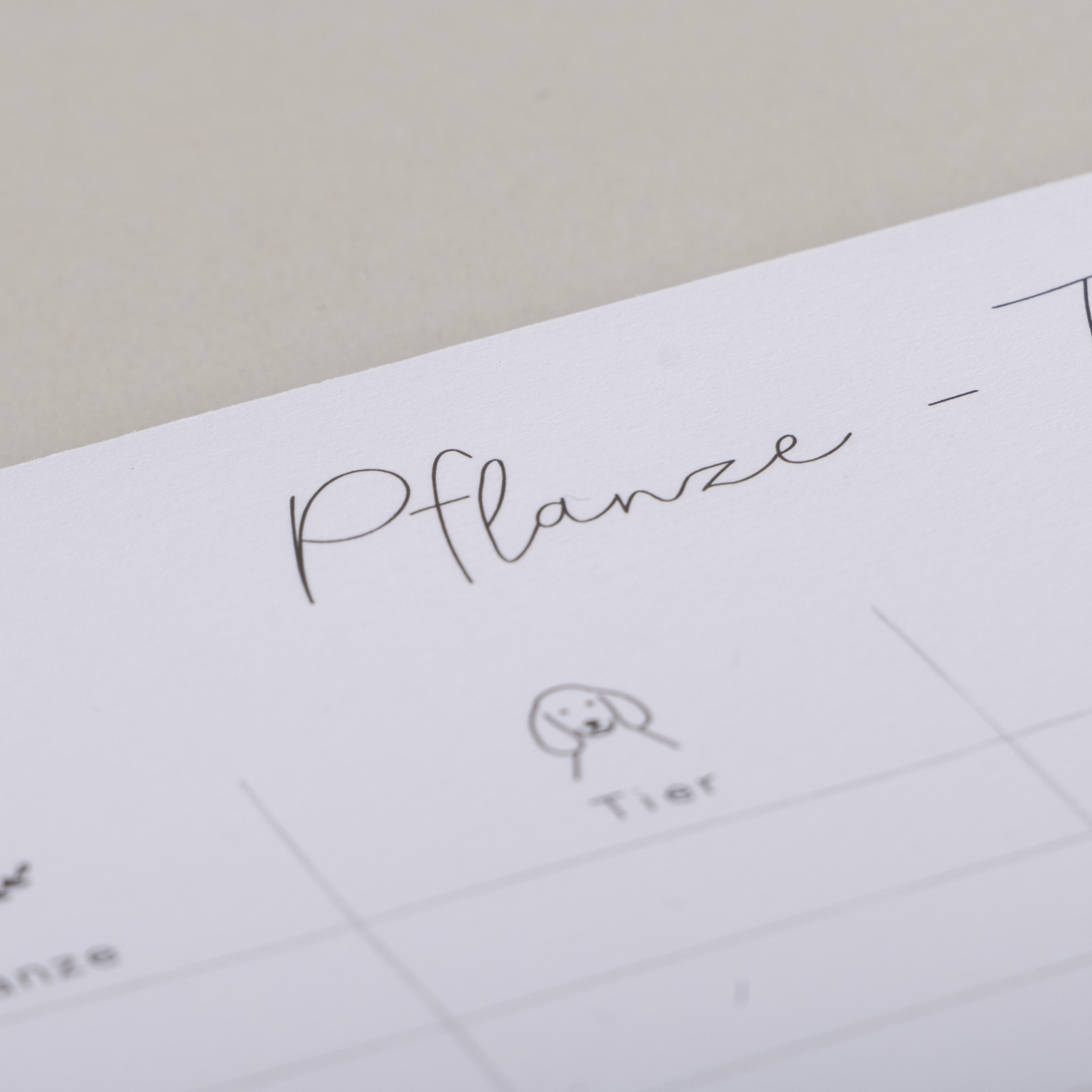 Eulenschnitt Spielblock Pflanze Tier Gefühl Eulenschnitt Spielblock Pflanze Tier Gefühl