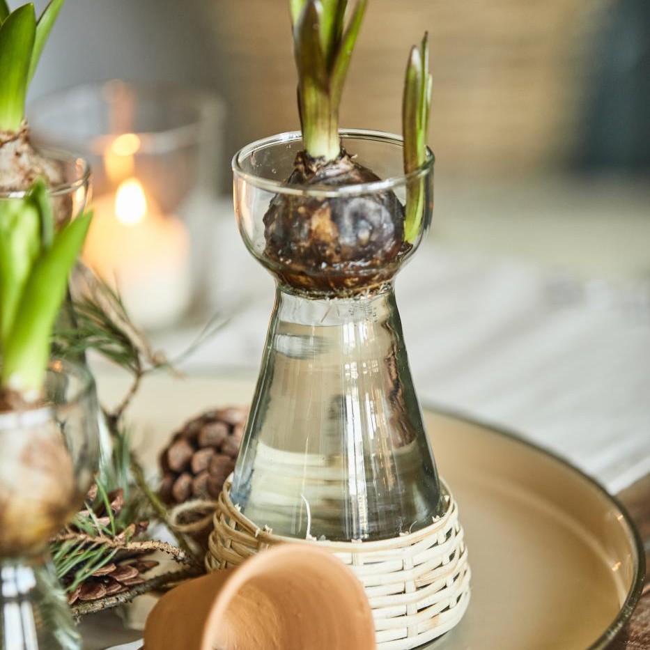 Hyazinthenvase mundgeblasen m/Rattangeflecht