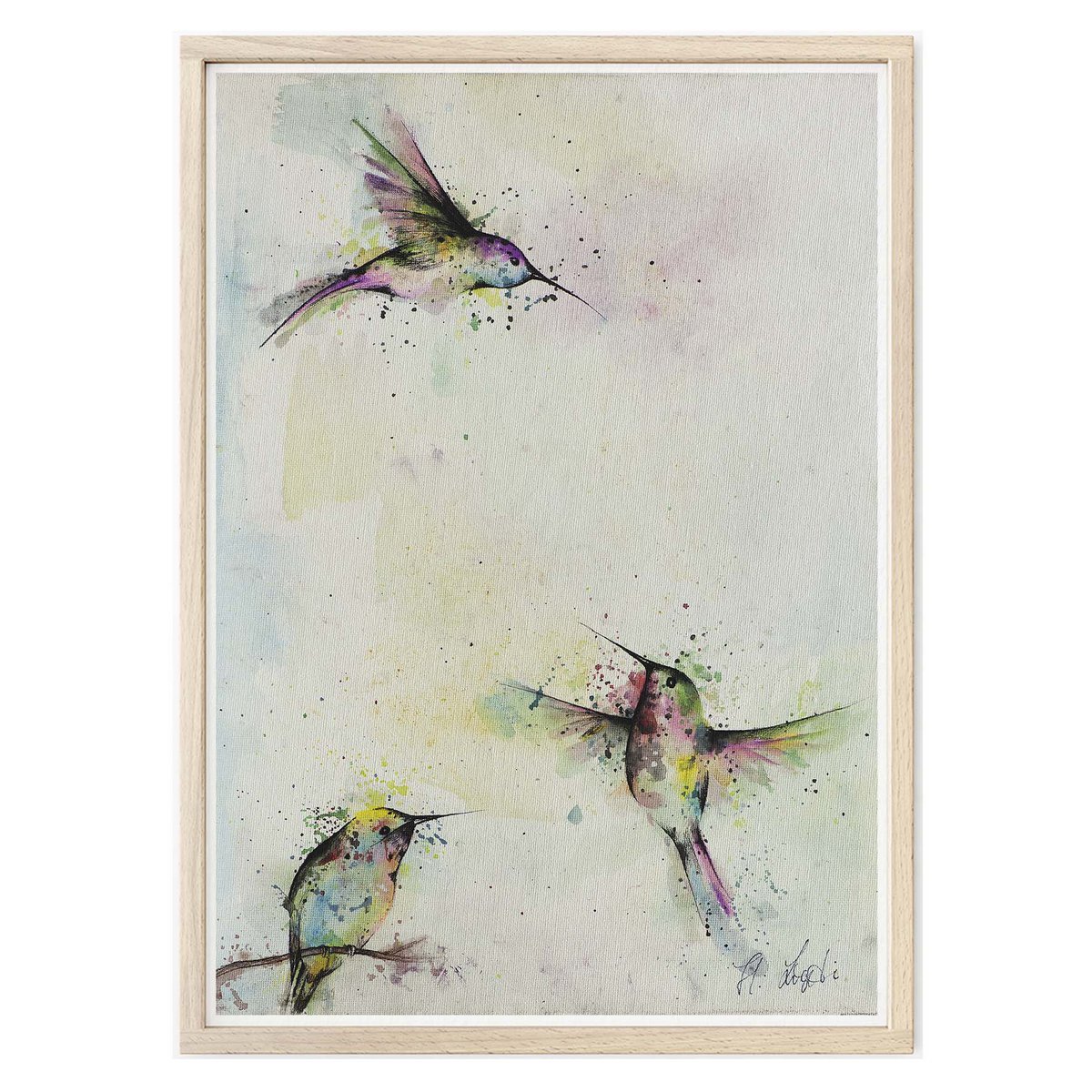 Kunstdruck - Drei Kolibris Size: A4