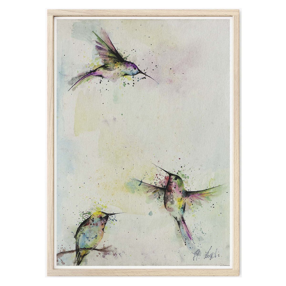 Kunstdruck - Drei Kolibris Size: A4 Kunstdruck - Drei Kolibris Size: A4