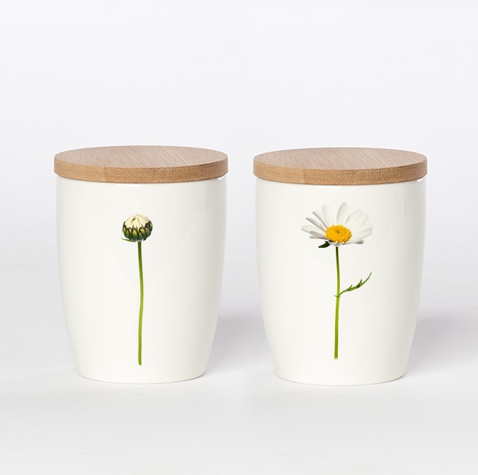 kleiner Becher Margerite, Simply Flowers No.08