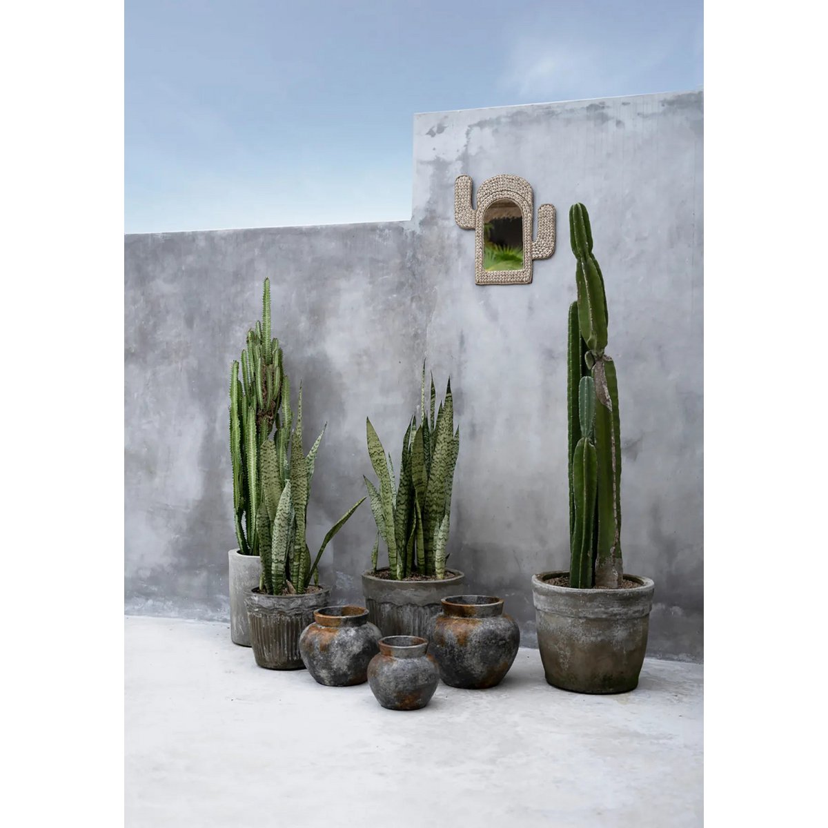 Der Kaktusspiegel aus Kaurimuscheln– Weiß