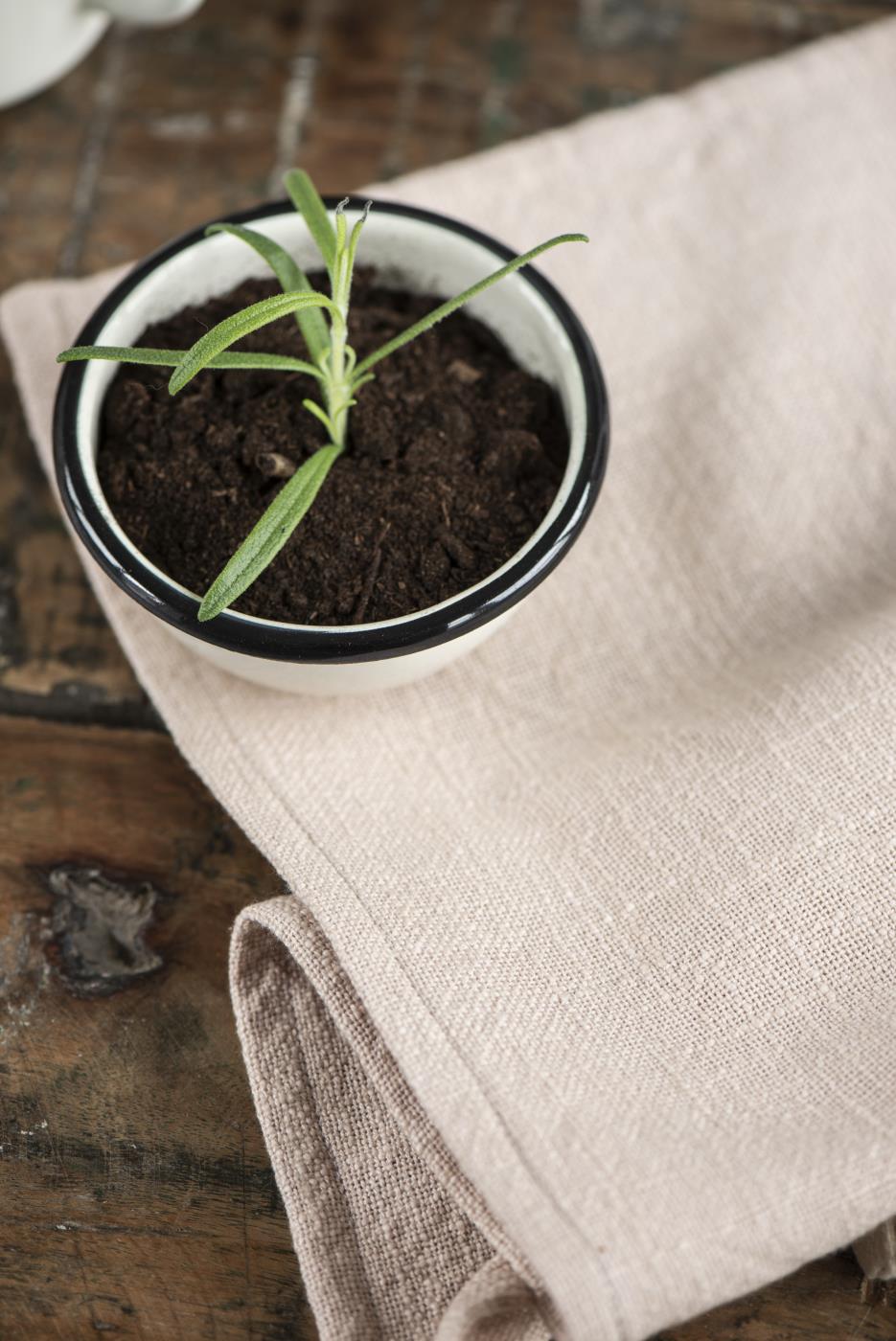 66027-43_W1400 Geschirrhandtuch Mynte rose, gewebt