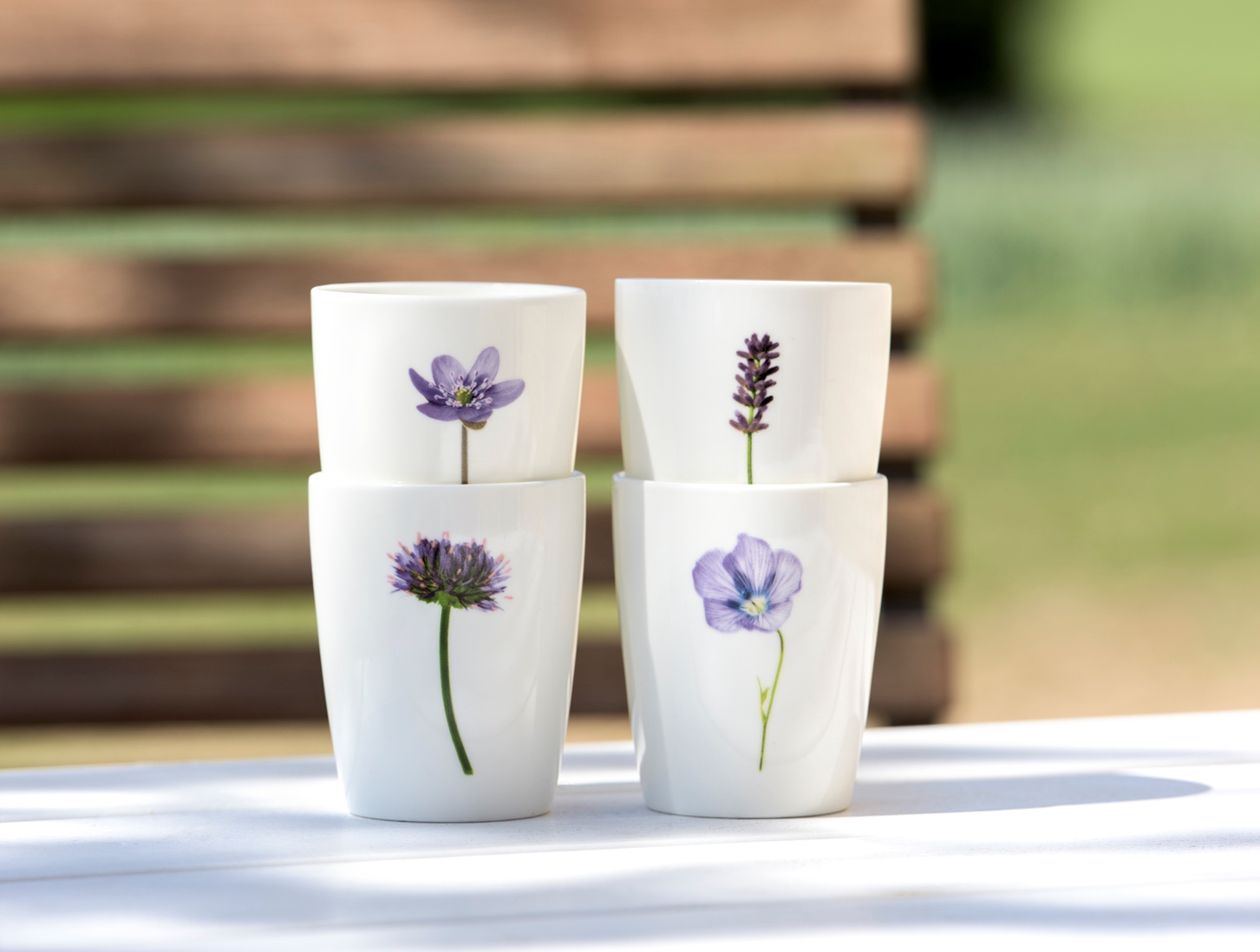 großer Becher Flachsblume, Simply Flowers No.07