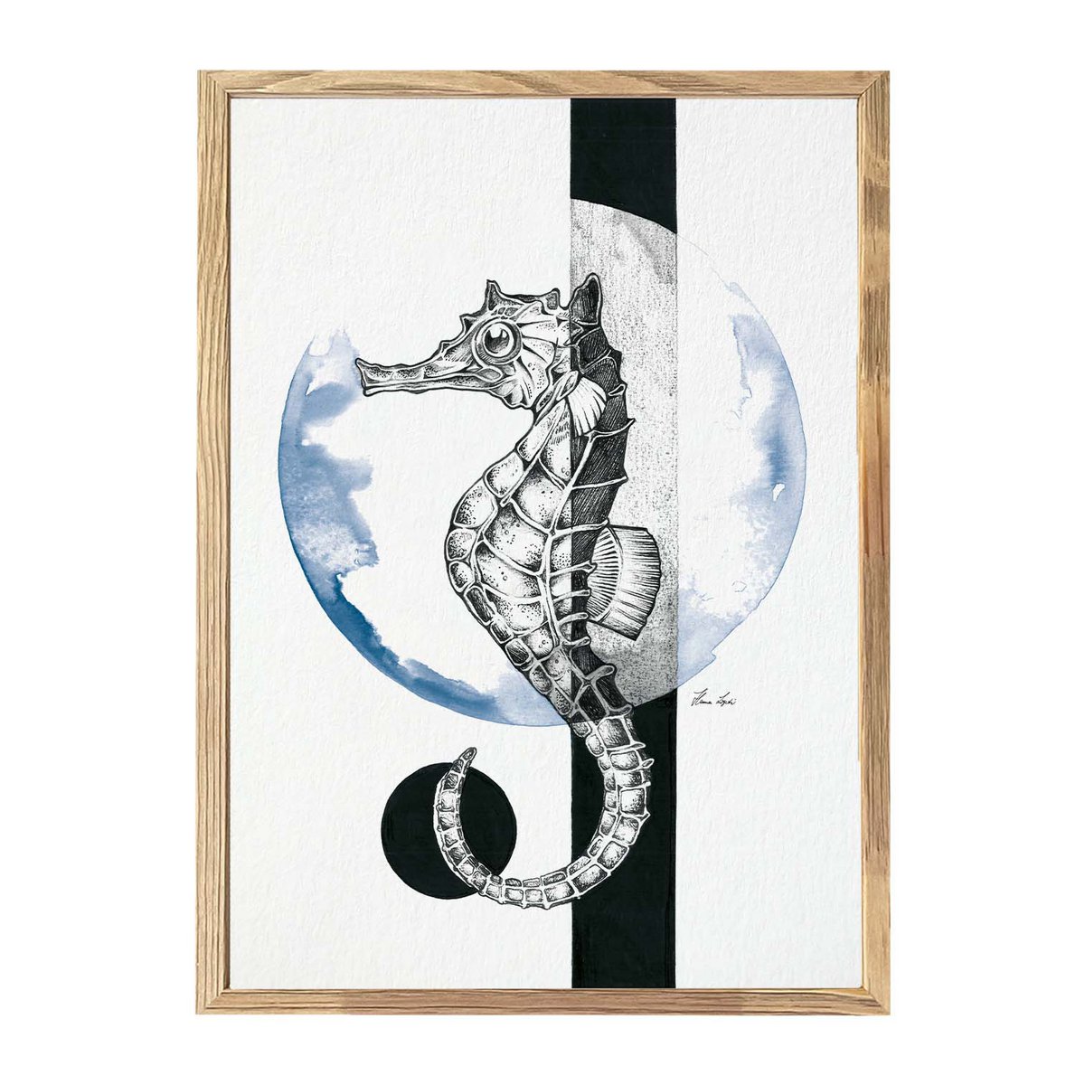 Kunstdruck - Seepferdchen Kreis Size: A4